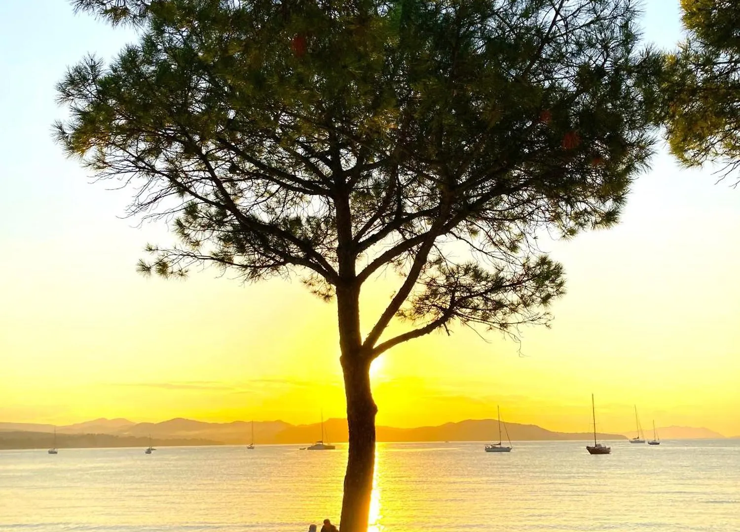 Beach Villa 14 Persons La Ciotat 0*,  France